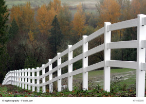 Scenic view of a white fencing heading down a hill during autumn season.