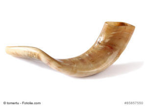 shofar (horn) isolated on white. jewish traditional symbol